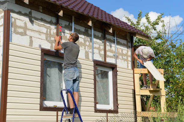 Best Custom Trim and Detailing for Siding  in Volo, IL