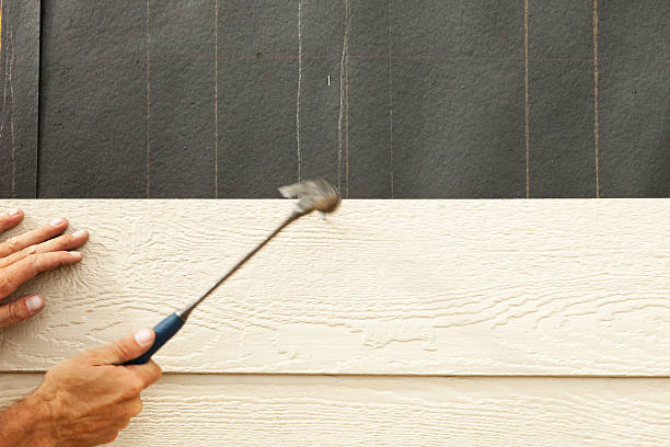 Best Stone Veneer Siding  in Volo, IL